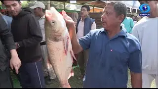 Loubuk Maikei Panglashi  |  Fish Fair-Cum Fish Crop Competition 2024