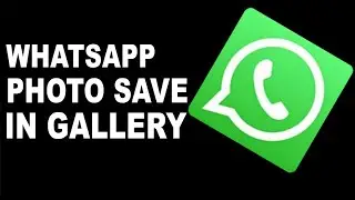 How to Save WhatsApp Photos in Gallery