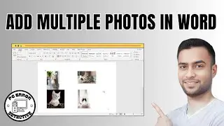 How To Add Multiple Photos In Word Document | Discover This Simple Trick