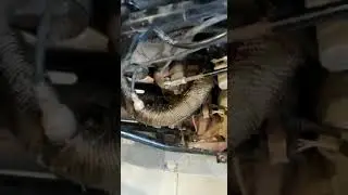 Выхлопная система для Stels Guepard 850 от SKLcustoms