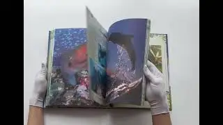 Большая книга о животных. 1001 фотография