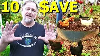 10 SUSTAINABLE Ways to SAVE Money!