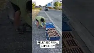 FINAL LAP DERBY #pigeon #bird #entertainment #shortvideo