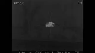 22lr. Стрельба. Тренировка / 22lr. Shooting. Training