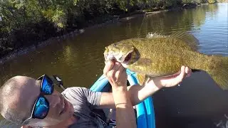 Topwater Fishing Spook Smallies! Crazy Blow Ups!