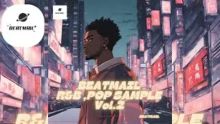 R&B SAMPLE | R&B Sample Vol.2 | BeatMail | (Sample Pack) [WAV MIDI]