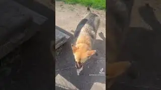 Села. Моя сама болюча тема.