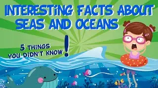 Interesting Facts About Seas and Oceans | Educational Video for Kids