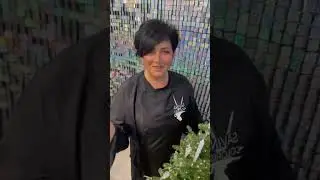 Мое преображение у лучшей Елены Савиной