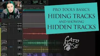 Pro Tools Basics: How to Hide Tracks, and Show Hidden Tracks