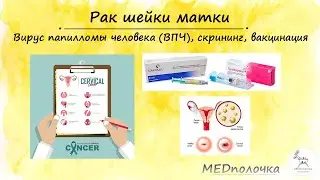 Рак шейки матки: что нужно знать? Симптомы, вирус папилломы человека, вакцинация и скрининг