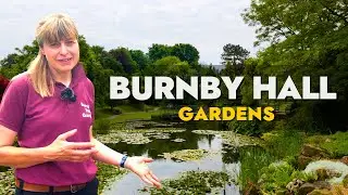 Burnby Hall: Home To A National Collection Of 100+ Waterlilies