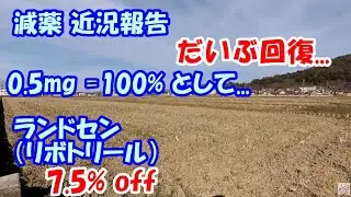 【減薬】 ランドセン（リボトリール） 7.5％ off 【体調だいぶ回復..😓】　　／ パニック障害、うつ　　　／ 0.5mg=100%として