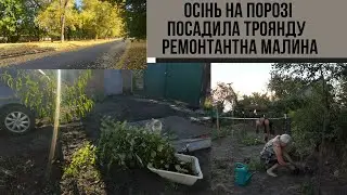 #80 Масяня зустрічає нас завжди з радістю/ Посадили троянду і ремонтантну малину/Осінь на порозі