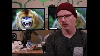 Responding to The Simp