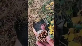 Ukrainian soldiers 😁😜