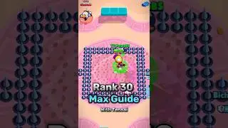 Rank 30 Max Guide