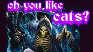 oh you like cats?