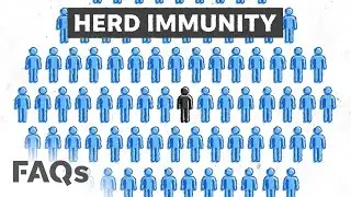 COVID-19 herd immunity may never happen, heres why | JUST THE FAQS