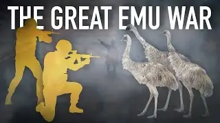 Australia Lost a War to a Bird | The Great Emu War