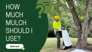 How much mulch should I use?