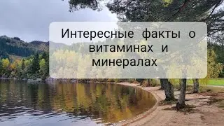 Нужны ли нам витамины и минералы в виде добавок?