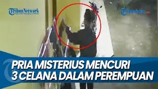 MALING DALEMAN MERESAHKAN, Embat 3 Celana Dalam Beda Warna Milik Perempuan di Ngunut Tulungagung