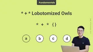 Lobotomized Owls selector - 🌱 Fundamentals