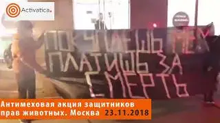 Мех - это смерть! Акция зоозащитников в Москве