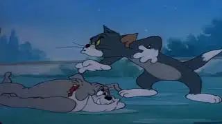 Online Reverse Video tool   Tom & Jerry   Classic Cartoon   Solid Serenade mp4