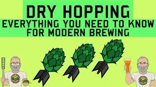 Dry Hopping Beer Everything You Need To Know For Modern Brewing