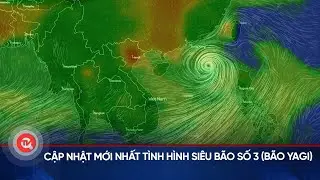 Cập nhật mới nhất tình hình siêu bão số 3 (bão Yagi) | Truyền hình Quốc hội Việt Nam