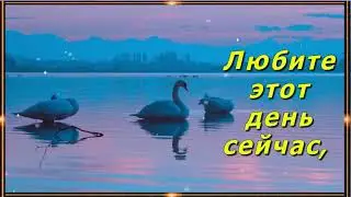 "Любите жизнь, любите жить..." Красивая музыкальная открытка для вас мои друзья.