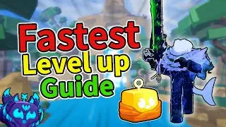 Blox Fruits NOOB to PRO Guide: Get max level FAST secrets