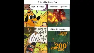 Genshin v1.1 Grass Fire in a nutshell