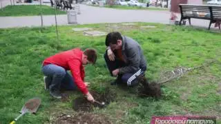 ПРО ТОРГАШЕЙ ПОГУБИВШИЕ ПЯТЬ ДЕРЕВЬЕВ.
