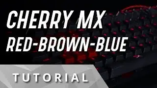 La guía definitiva: Cherry MX Red vs Blue vs Brown