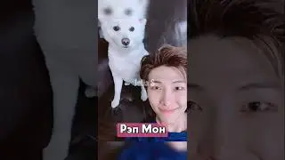 Питомцы группы BTS 