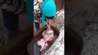Бабушка вытаскивает говно с кишков