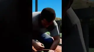 Что будет если в GTA 5 превратиться в Чопа и встретиться с Франклином