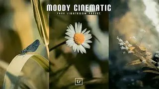 Lightroom Preset Mobile Free Download│Moody Cinematic Preset│Free DNG & XMP 2022