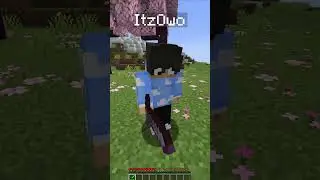 Minecraft sigma