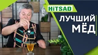 ВНИМАТЕЛЬНО Выбирайте Мёд ✔️ Лучшие Сорта Мёда ✔️ Советы От Хитсад ТВ