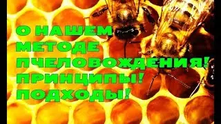 Пасека! Вводное видео о пасеке! О методе пчеловождения! О принципах, о подходах!