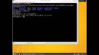 Linux Essentials L02.1 Command Line Basics