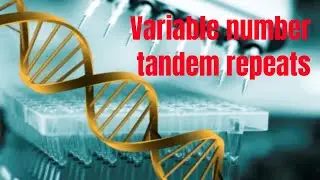 Variable Number Tandem Repeats and Short Tandem Repeats