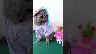 Я в окошечко гляжу 