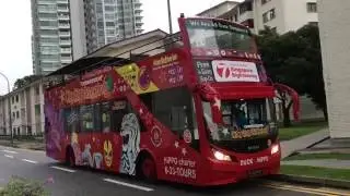 [Hippotours] MAN 18.240 A69 Open Top | PC3258Z Chartered for Dakota/Tg Rhu tour