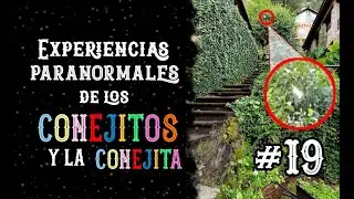 Experiencias paranormales de los Conejitos y la Conejita  #19