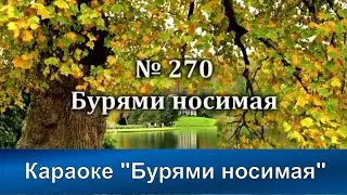 № 270 Бурями носимая | Караоке с голосом | Христианские песни | Гимны надежды